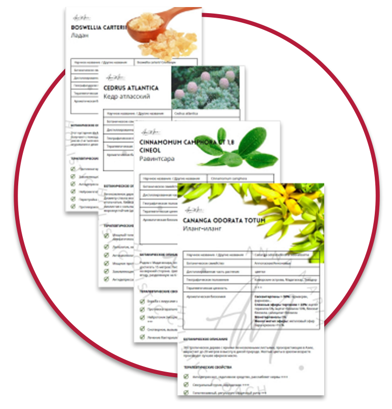 ароматерапия, ароматерапевт, олфактотерапия, ольфактотерапевт, эфирные масла, здоровье, аромат, ароматы для дома, эфирное масло, аромамасла, эфирные масла здоровье, красота, здоровье
